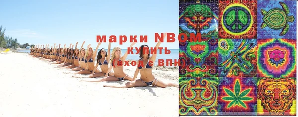 стаф Няндома