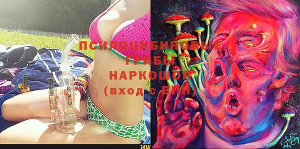дмт Арсеньев
